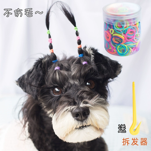 ПЭТ -резиновая полоса Yingxia Sherry Malzus's Hair Craid Head Coant Dog Headgear