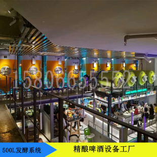 精酿灌装 啤酒设备厂家机自制酿造啤酒酿酒设备家用小型一体机 新款