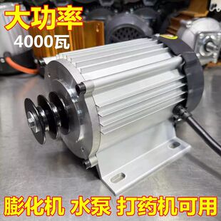 直流无刷电机48V60v72v膨化机气泵发电机专用大功率全铜厂家直销