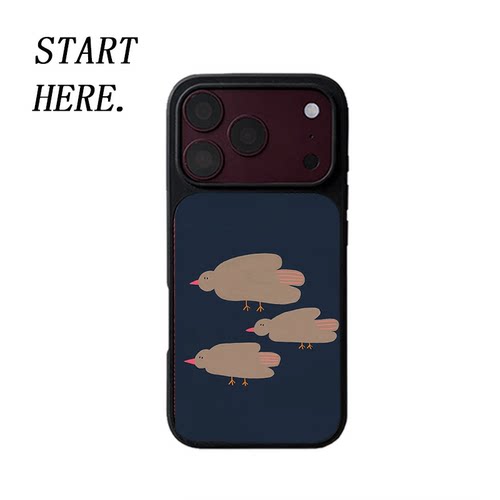 原创简约棕鸟齐飞iPhone18pro手机壳磁吸17promax软壳16磨砂大孔壳苹果15pro艺术全包黑边软壳适用14p晶瓷