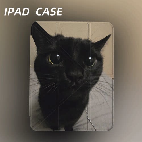 原创氛围感惊讶黑猫iPad2025新款11代苹果Air7防弯Y折ipad壳三折第9代平板壳11寸Pro亚克力适用mini7带笔槽