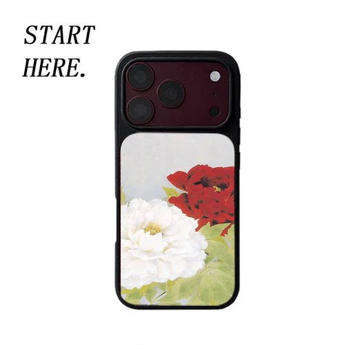 原创艺术双枝牡丹iPhone18pro手机壳磁吸17promax软壳16磨砂大孔壳苹果15pro艺术全包黑边软壳适用14p晶瓷
