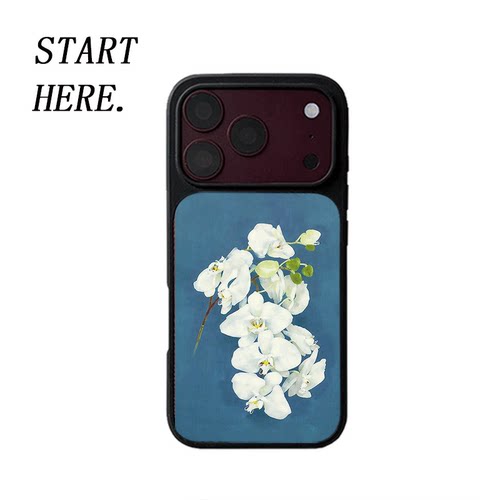 原创高级感白蝶兰iPhone18pro手机壳磁吸17promax软壳16磨砂大孔壳苹果15pro艺术全包黑边软壳适用14p晶瓷
