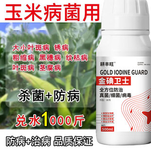 玉米杀菌剂玉米病全治玉米治病药叶斑病纹枯病粗缩病锈病茎腐黑穗