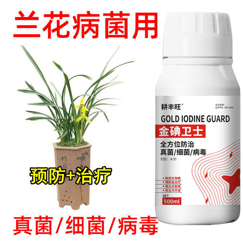 兰花杀菌剂专用软腐病
