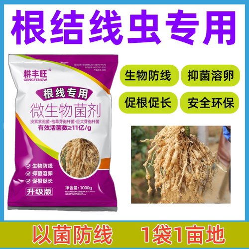 根结线虫专用淡紫紫孢菌