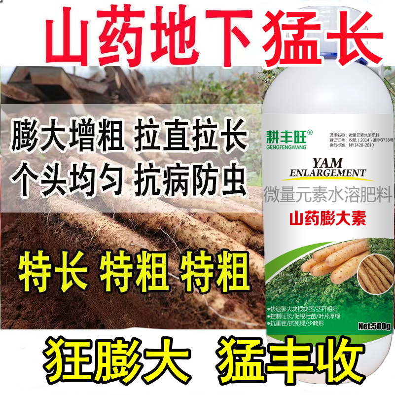 山药膨大剂山药专用叶面肥山药控旺膨...