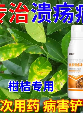 柑橘溃疡病专用疮痂流胶砂皮病穿孔病柑桔溃疡流胶专用柑桔病全治