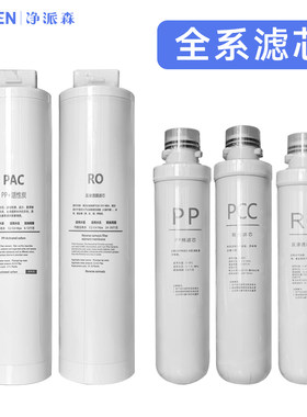 净派森饮水机专用滤芯嵌入式直饮机滤芯D800L反渗透滤芯RO膜