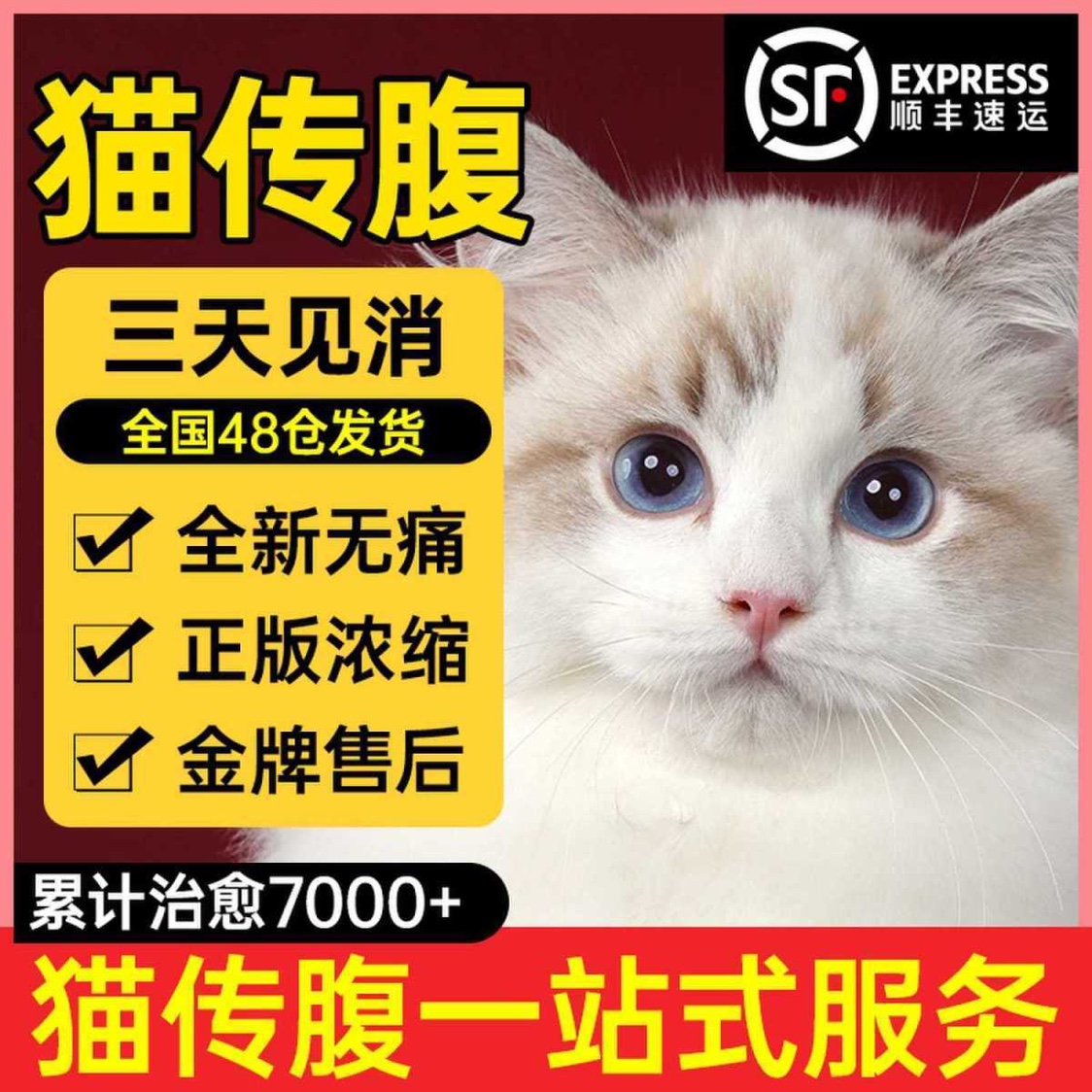 特效猫传腹救星见效快猫