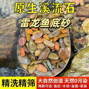 雷龙鱼底砂溪流沙鱼缸底沙龟缸造景天然原生溪流石砂水草缸造景石