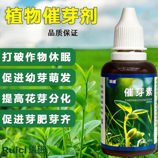 蝴蝶兰爆芽素催芽素花芽叶芽细胞分裂素铁皮石斛优芽素花梗催芽剂