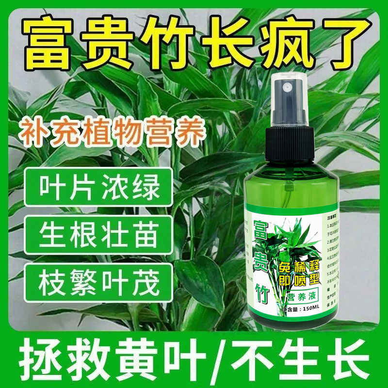 富贵竹专用稀释营养液绿植绿叶黄叶家用植物生根肥料盆栽培土通用