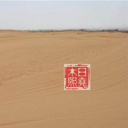 天然沙漠沙子超细干净沙盘沙子儿童玩具沙子爬虫沙造景装饰沙一斤