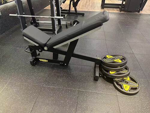 进口可调式哑铃椅泰诺健