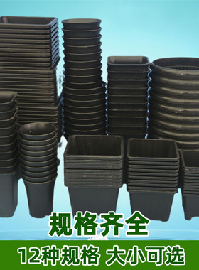 五个装万象景天盆塑料育苗花盆圆方型加厚黑色迷你多肉仙人球植物