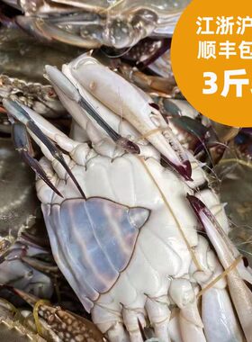 吕四鲜活梭子蟹江浙沪皖顺丰包邮