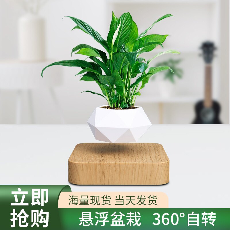 磁悬浮盆栽空中花卉种植客厅摆件桌面绿植