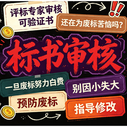 标书检查暗标核查标书审查投标文件废标项检查审核专家审标cw