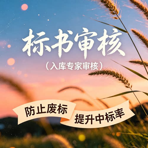 标书审核审查标书检查投标文件检查核查投标书专家审标废标项查验