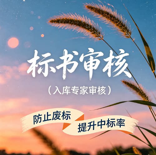 标书检查暗标核查标书审查投标文件废标项检查审核专家审标复核