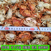 海鲜螃蟹干乌拉蟹火锅底料干螃蟹渔民自晒小螃蟹炖酸菜小螃蟹干货