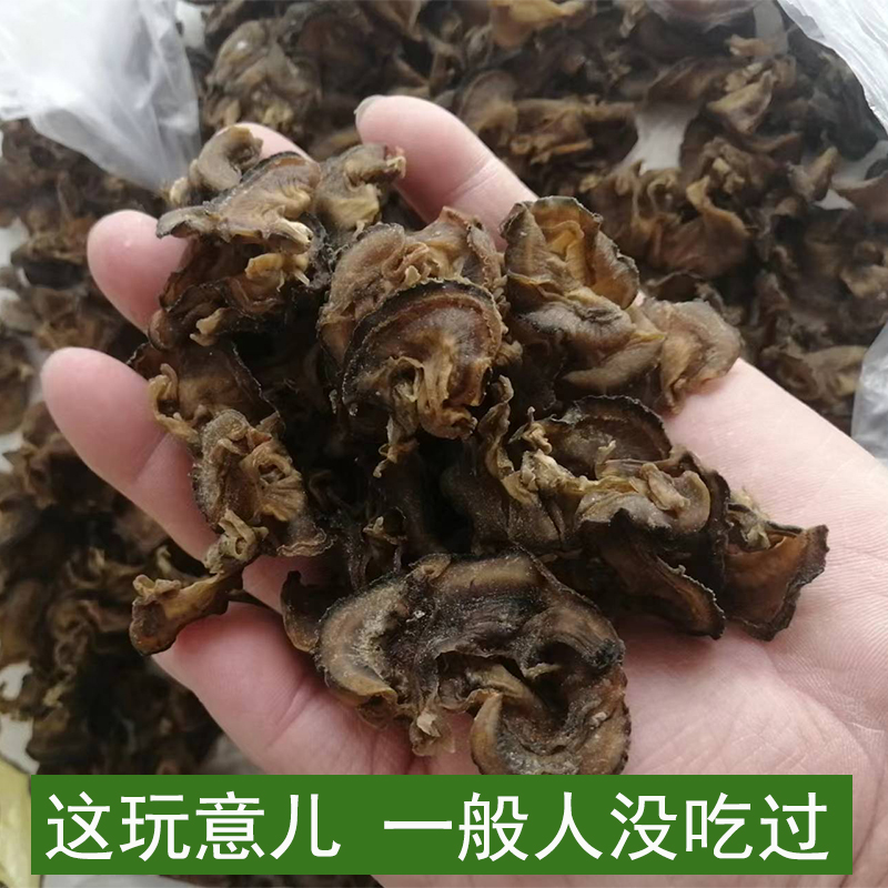 北戴河特产海货带子裙边海木耳