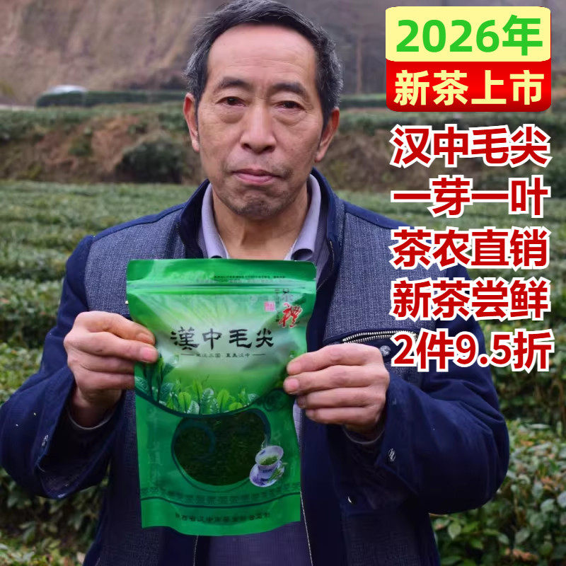 2026新茶毛尖绿茶汉中茶叶高山云雾日照好200克特级毛峰浓香耐泡