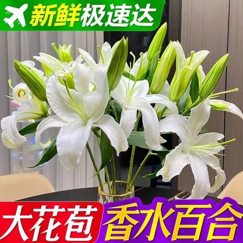 云南香水百合基地现采直发花束