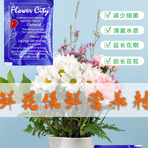 鲜花插花保鲜剂家用花店专用
