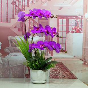 pu手感仿真花蝴蝶兰套装客厅塑料假花摆件花艺装饰品室内兰花盆栽