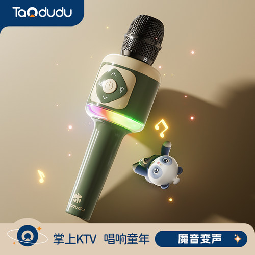【双11预售】小贵！但特好听话筒