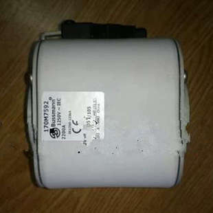 170M7165 170M7146 170M7205 170M7206 170M7145熔断器 170M7166