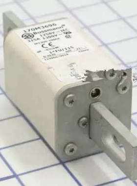 BUSSMANN熔断器170M3689/3690/3691/3692/3693/3694/3695/3696