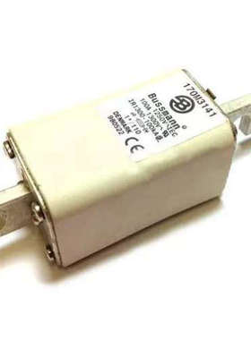 BUSSMANN熔断器170M3138/3139/3140/3141/3143/3144 直拍