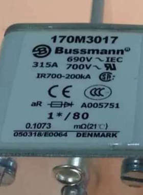 Bussmann熔断器170M3396/3397/3446/3447/3448/3496/3497