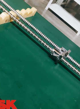 NSK2020丝杆W2010FA/W2009FA/W2008FA/W2007FA/W2006FA/-3P-C5Z