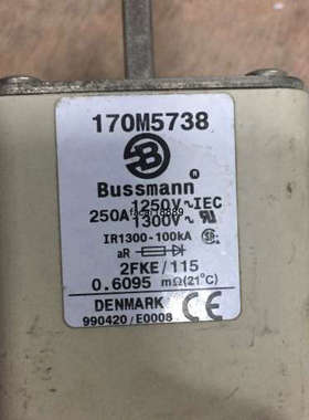 BUSSMANN熔断器170M5738/5699/5700/5698/5740/5741/5742 直拍
