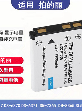适用拍的丽DS-5357 6370 6371 DM-7365 8365 SL58 SL68电池充电器
