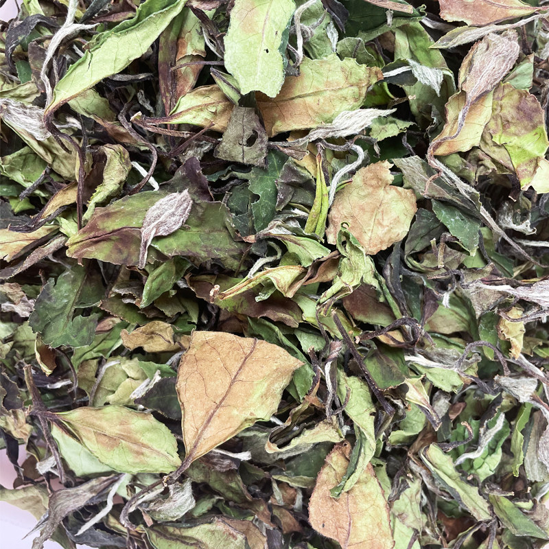 品茗桂香 高山白茶福鼎大白茶2023春茶寿眉茶叶散茶箱装1000克