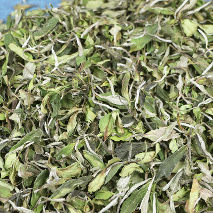 品茗桂香 高山白茶福鼎大白茶白牡丹2024春茶散茶整箱装1000克