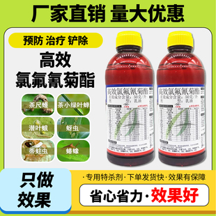 龙灯高捷5%高效氯氟氰菊酯小菜蛾蚜虫潜叶蛾茶尺蠖农药杀虫剂
