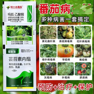 西红柿病毒病专用药番茄病全治