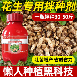 花生专用拌种剂提升作物抗逆性抗旱抗寒提质增产微生物水溶肥菌剂