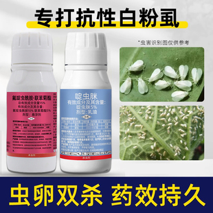 白粉虱杀虫剂农药蚜虫蓟马蔬菜多肉果树花卉植物虫卵双杀农药大全