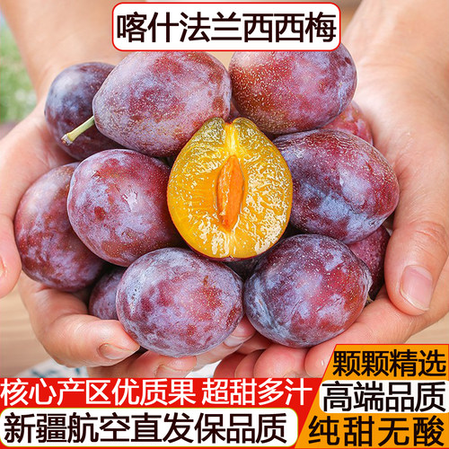 西梅新疆喀什甘甜爆汁新鲜采摘