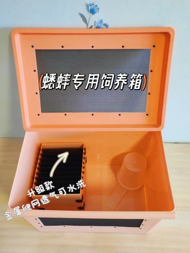 角蛙守宫蜥蜴蟋蟀饲养箱