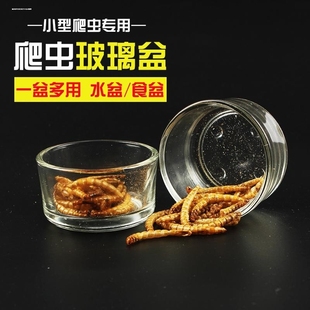 防翻玻璃防破食盆小仓鼠食盒龙猫金丝熊吃饭的碗喂食器碗
