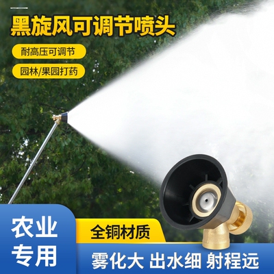 电动喷雾器雾化黑旋风高压喷头农用新型打药机专用喷枪打药喷药头