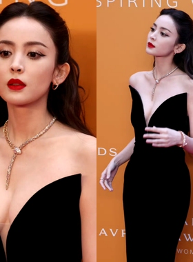 明星同款首饰品2025新款轻奢小众高级感项链锁骨链颈链配饰choker